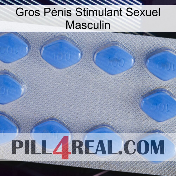 Gros Pénis Stimulant Sexuel Masculin 21